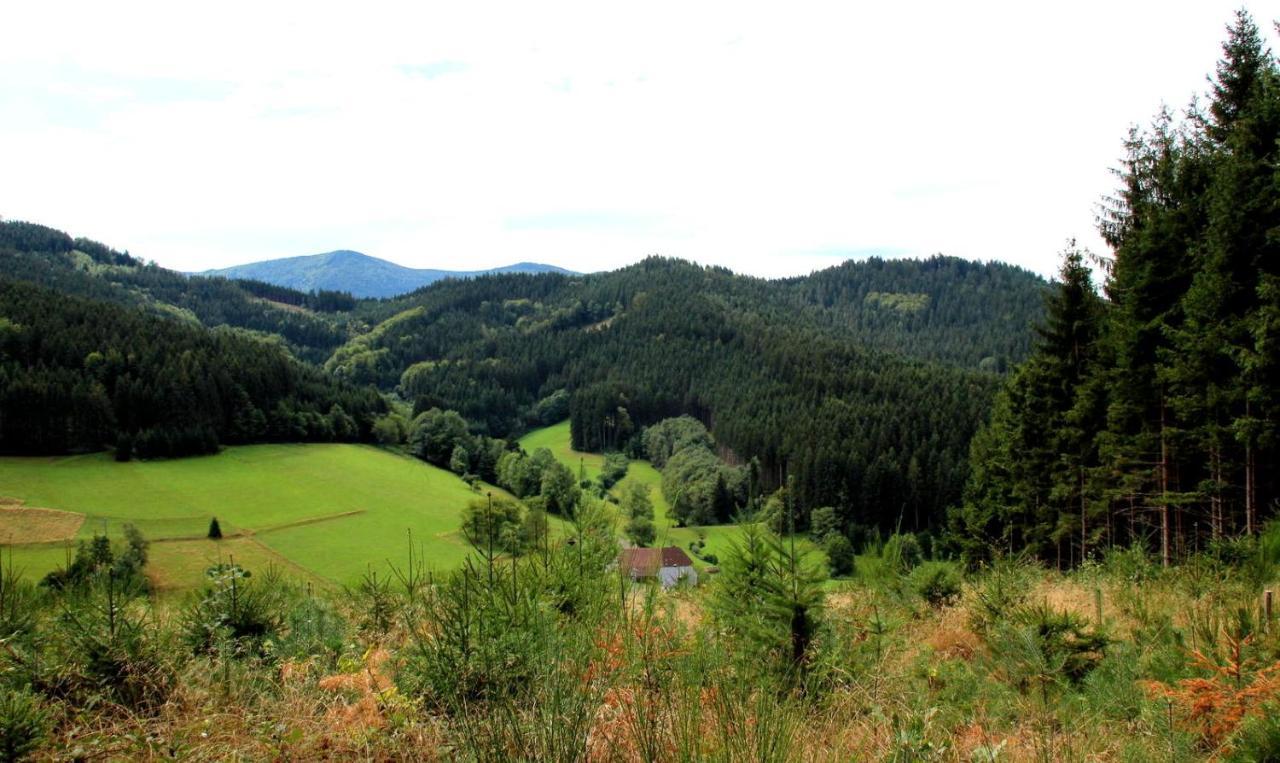 Gemuetliches Haus Im Herzen Des Schwarzwaldes Fuer Bis Zu 9 Personen Elzach Exterior foto