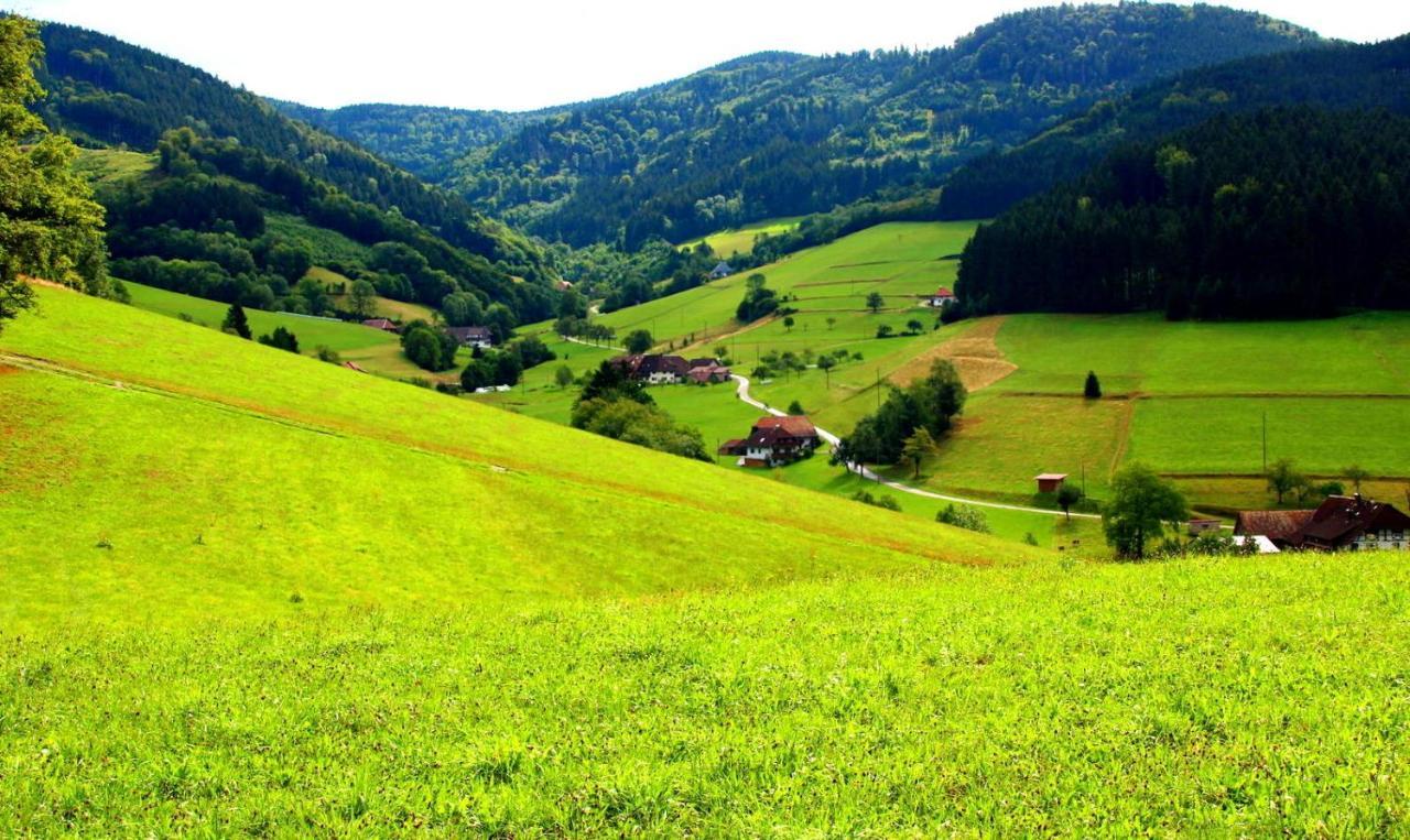 Gemuetliches Haus Im Herzen Des Schwarzwaldes Fuer Bis Zu 9 Personen Elzach Exterior foto